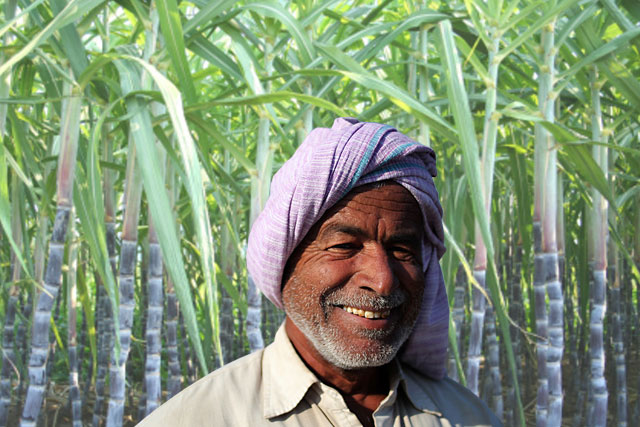 Sugarcane Farmer